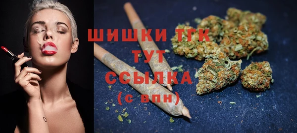 прущие грибы Алзамай